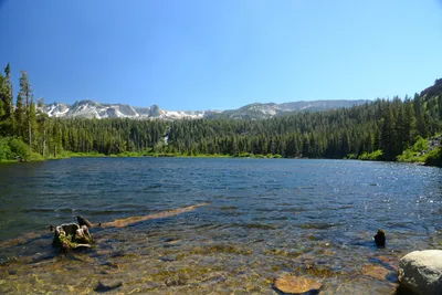 DSC_0058 (Large).JPG